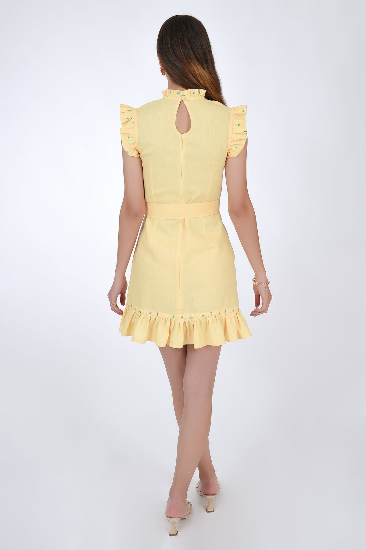 Fanm Mon Lakel Linen Choker Ruffle Neck Embroidered Mini Dress, Back View.