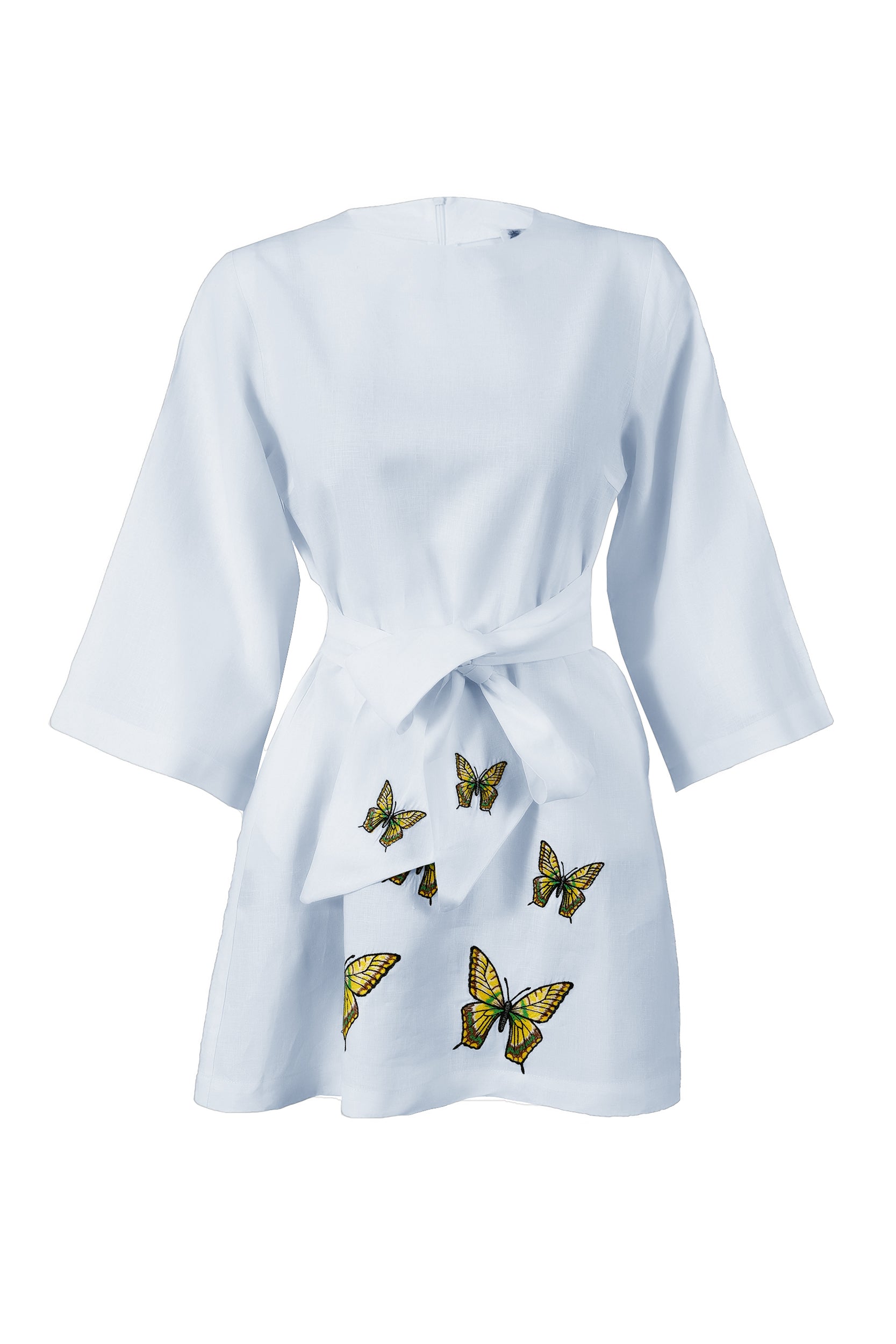 asos mini skater dress with butterfly embroidery Flutter Mini Dress