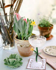 FLORAL VINE COCKTAIL NAPKINS (Set of 4)